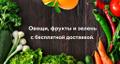 Поставка овощей, фруктов, грибов, орехов и зелени. Бесплатная доставка.