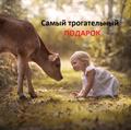 Трогательный подарок для ваших близких