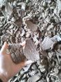 Продаем Жмых подсолнечный от производителя