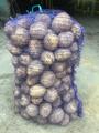 Картофель от производителя 50+ Калуга