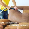 Выездная химчистка Новый Уренгой