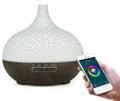 Умный увлажнитель воздуха Smart Electronics Tomnew BW