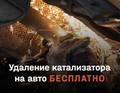 Удаление Катализатора Бесплатно