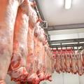 Производство мяса в ассортименте, продажа оптом