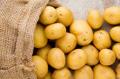 Продам картофель