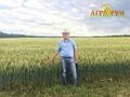 Курс Технология бинарных посевов в системе No-till Аграрум
